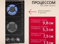 Газовая панель Hansa BHKS610301