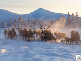 Автопутешествие "Якутск - Оймякон - Магадан" (Зимний сезон)