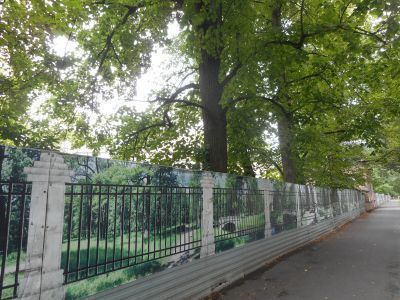 Ограда с двумя воротами