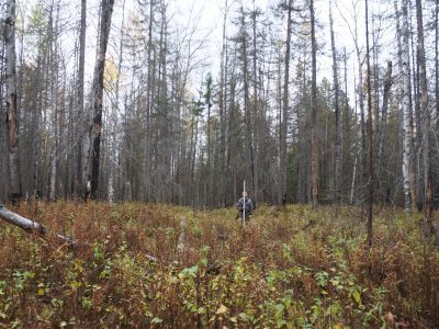 Святилище Ай-Ега Юрт Совкуниных