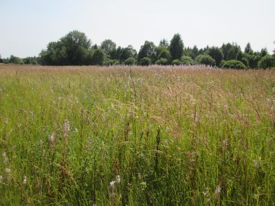 Памятное место, где в 1942 - 1943 гг. находилась партизанская мастерская по ремонту танков
