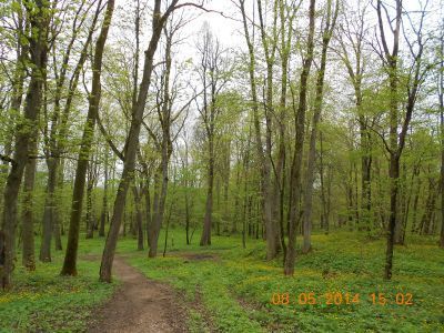 Усадебный парк