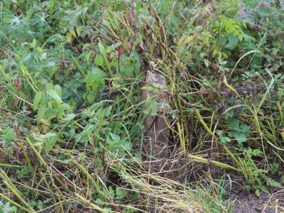 Стелы надмогильные