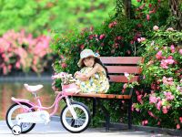 Детский велосипед Royal Baby Little Swan 14, год 2022, цвет Розовый