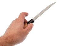 Набор из 5 кухонных ножей Fissman Pascual, деревянная подставка