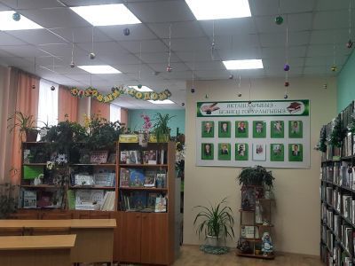 Нижнебишевская сельская библиотека – филиал № 20