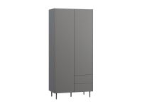 Распашной шкаф Изи 2-100x220 Графитовый