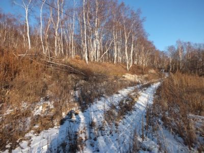 Береговая батарея 8-орудийная Заозерная