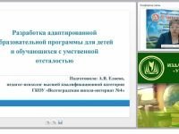 Разработка адаптированной образовательной программы для детей и обучающихся с умственной отсталостью
