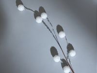 Ветвь Снежная ветка/Ramo di neve II