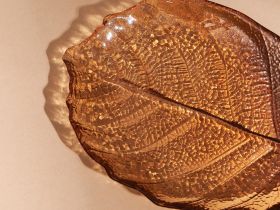 Блюдо Foglio II