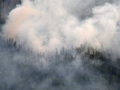 В России потушили все лесные пожары