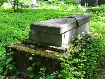 Могила Коломнина С.П. (1842-1886), хирурга