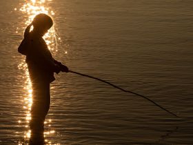 Сплав по реке Лена с посещением Ленских Столбов, тукуланов-песков Самыс Кумага и Кысыл Элэсин