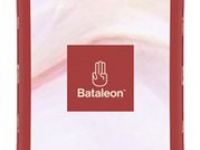 Сноуборд BATALEON FEELBETTER 21/22