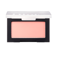 Матовые пудровые румяна Dinto All That Moments Blur-Finish Blusher 501 Mary Owell