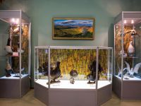 Билибинский краеведческий музей им. Г. С. Глазырина