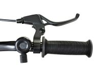 Детский велосипед Maxiscoo 1Bike 16, год 2026, цвет Коричневый