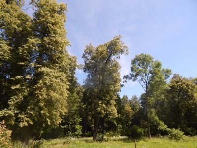 Памятное место, где жила и работала художница-меценатка М.К.Тенишева