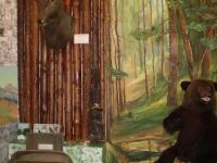 Музей Алтайского района