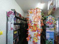 Широкинская библиотека