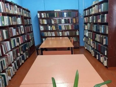 Дудовская поселенческая библиотека