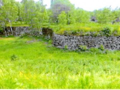 Восточно-выборгские укрепления