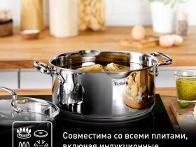 Кастрюля с крышкой Tefal Duetto+ 2.9 л 20 см G7194455