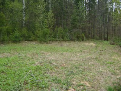 Священная роща