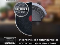 Сковорода для блинов Tefal Black Stone 25 cм G2813872