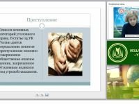 Организация работы по профилактике правонарушений и преступлений