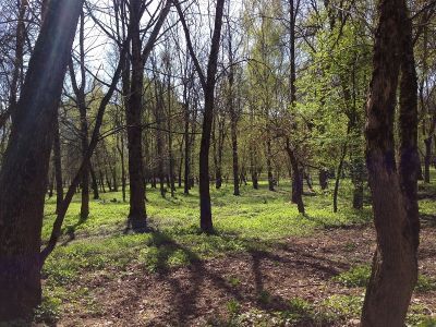 Щелковский городской парк культуры и отдыха