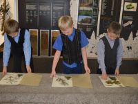 Сивинский краеведческий музей