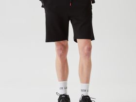 Мужские шорты Lacoste