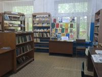Дубовическая сельская библиотека