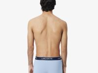 Мужское хлопковое нижнее бельё Lacoste (3 ед.)