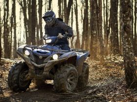 Квадроцикл YAMAHA Grizzly 700 EPS STD (ПСМ)