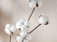 Декоративное украшение Cotton I