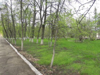 Братская могила больных и врачей, расстрелянных немецко-фашистскими оккупантами