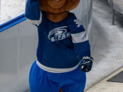 АБОНЕМЕНТ на домашние игры ХК &quot;Буран&quot; в сезоне 2025-2026 (рег. чемп.)