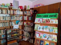 Кодочиговская сельская библиотека – филиал № 7
