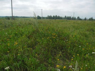 Ветряная мельница (деревянная)