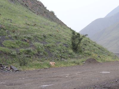 Кладбище "Жавудае" (Еврейское)