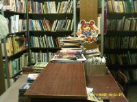 Медведкинская библиотека