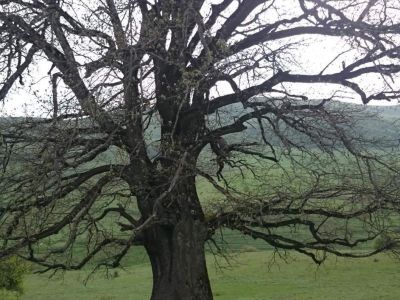 Пир-захоронение