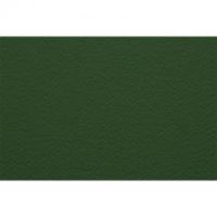 Бумага для пастели Fabriano "Тiziano" 21x29,7 см 160 г №14 оливковый