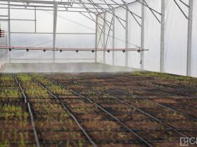 Крупнейший в Якутии лесопитомник открыли в селе Табага