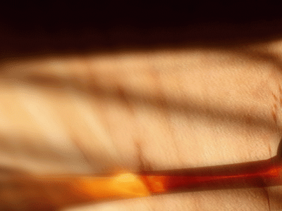 Фальшивые коньяки: без винограда, зато с ароматизаторами