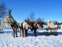 Центр арктического туризма
