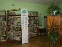 Родниковская сельская библиотека